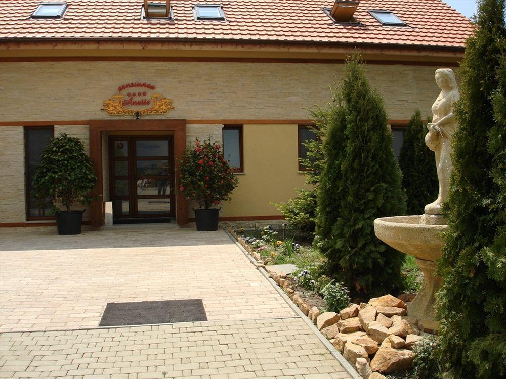 Anette Resort & Spa Covaci Exterior foto